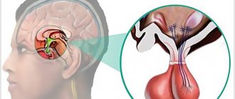 Pituitary adenoma: symptoms and treatment