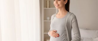 What does an expectant mother need to know about the first trimester of pregnancy?