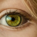 Механизмы нарушения зрения