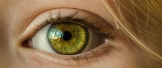 Механизмы нарушения зрения